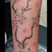 Tattoos - Cherry Blossom - 76344